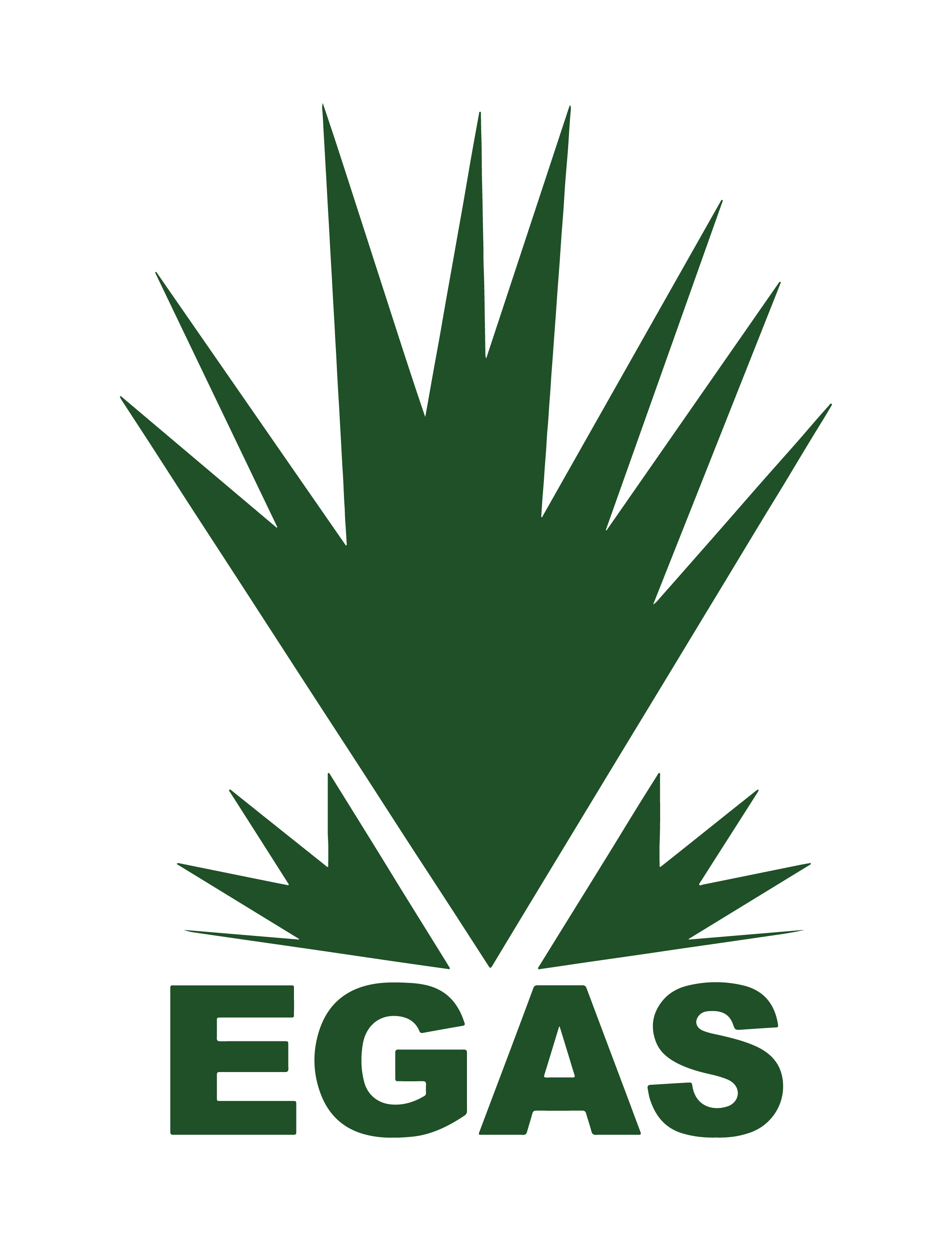 EGAS