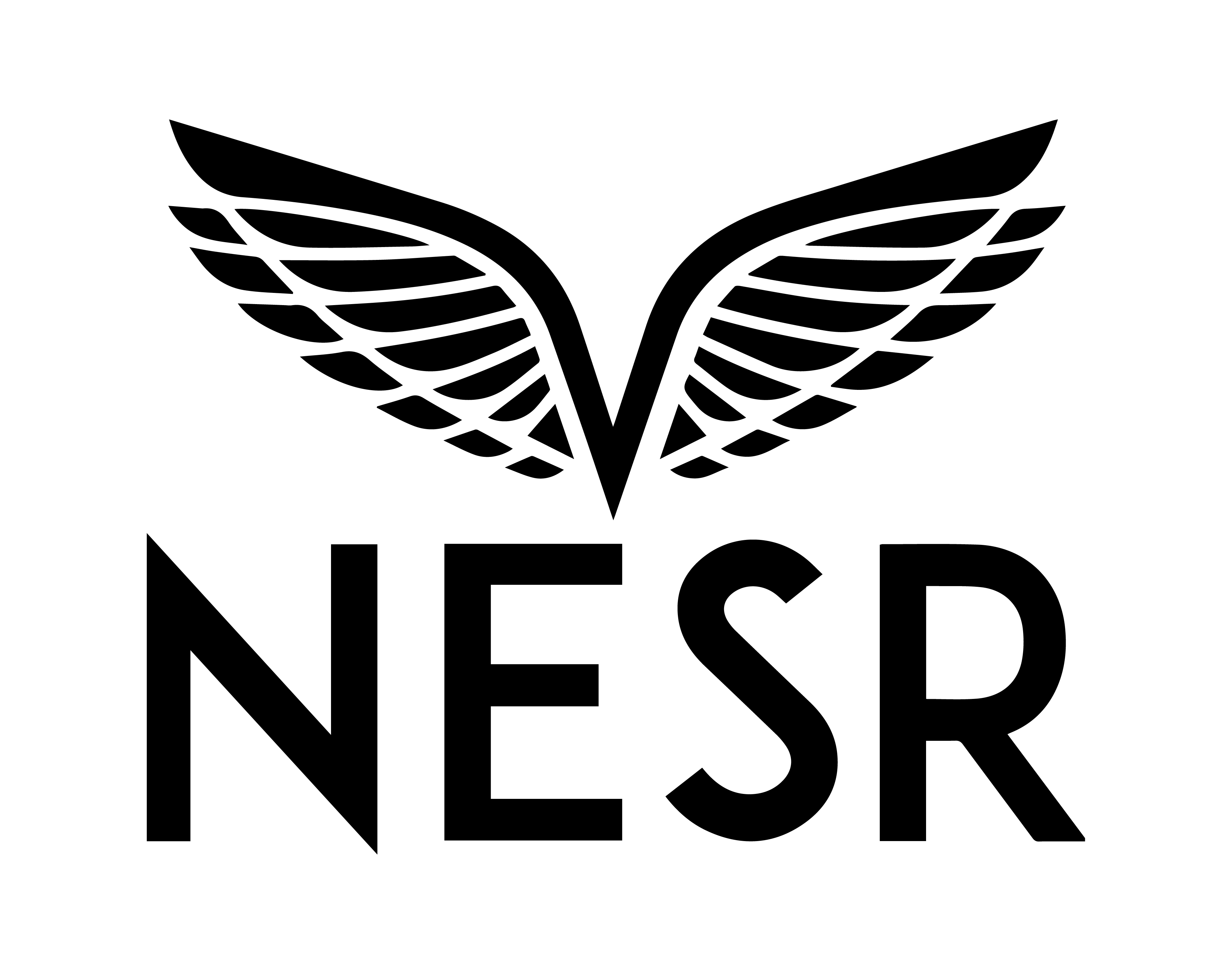 NESR